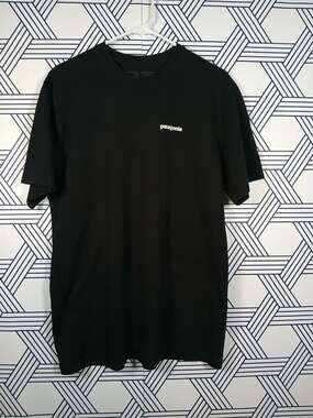 Patagonia Mens Graphic Tshirt Size Medium